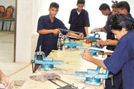 التعليم والتدريب المزدوج.. شراكة فعّالة لتأهيل طلاب مهرة لسوق العمل